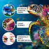 Fotos und Abbildungen von Schildkröte PUZZLE 300 Teile. ESC WELT.