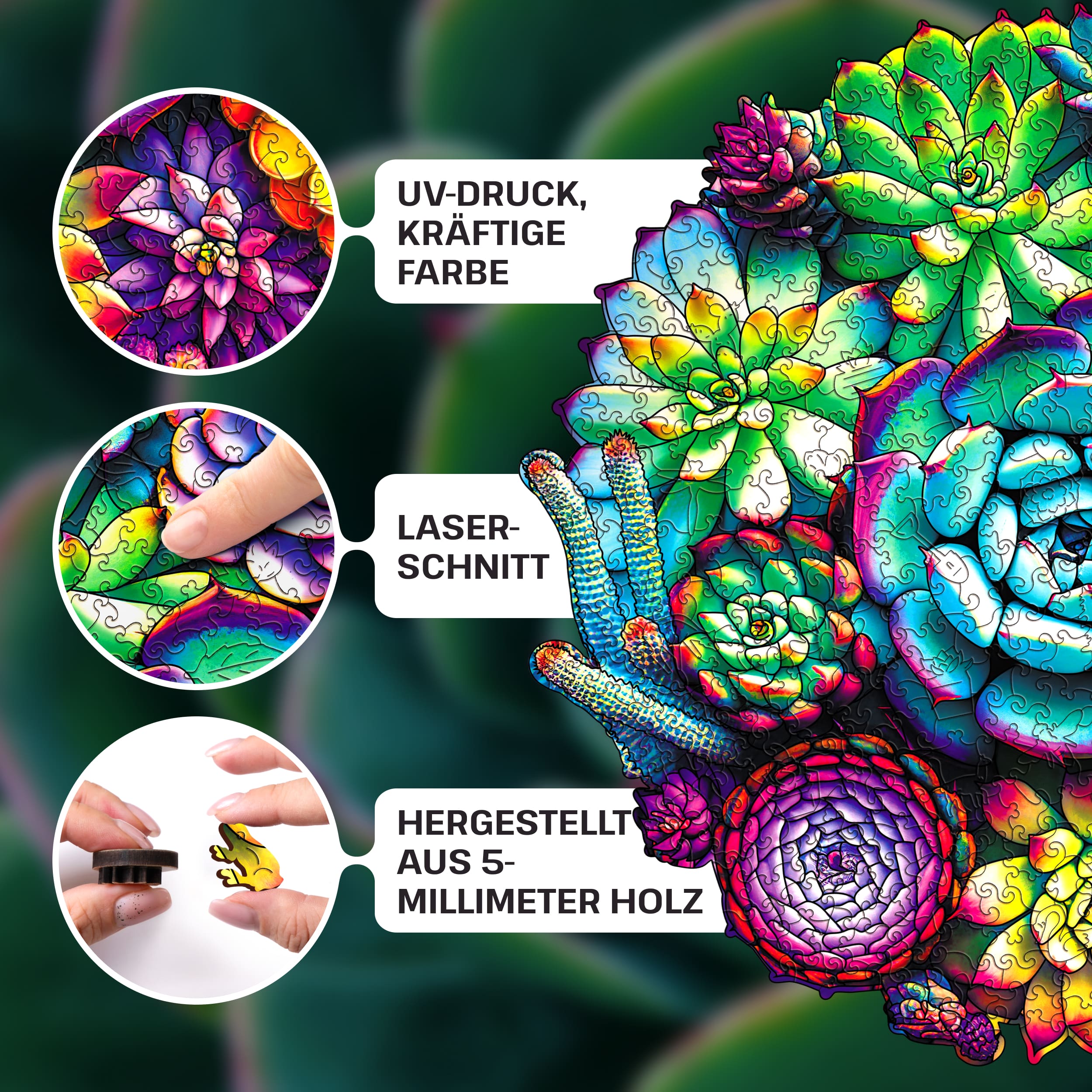 Fotos und Abbildungen von SUCCULENT PUZZLE 500 Teile. ESC WELT.